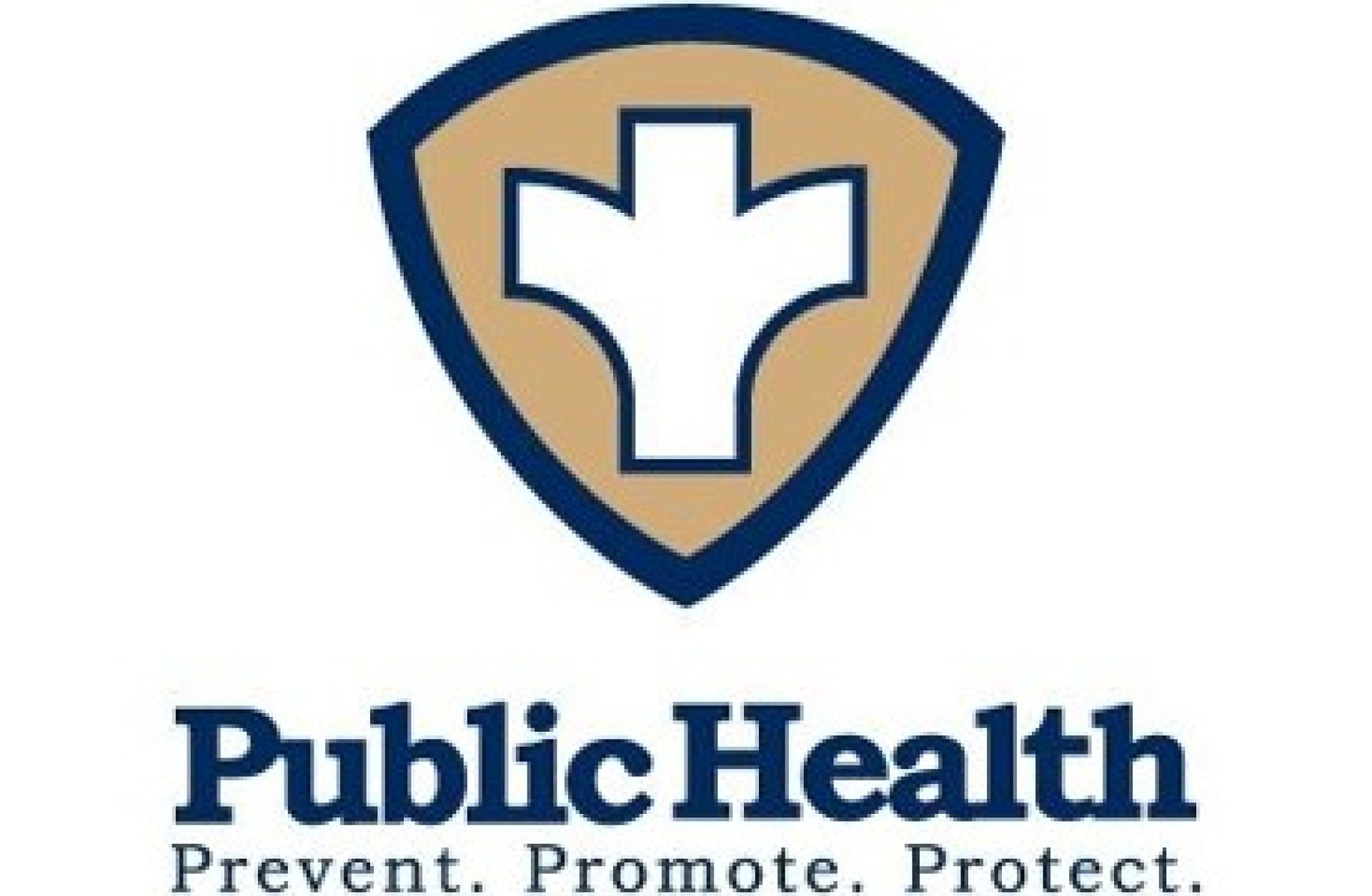 Iowa County Public Health logo.